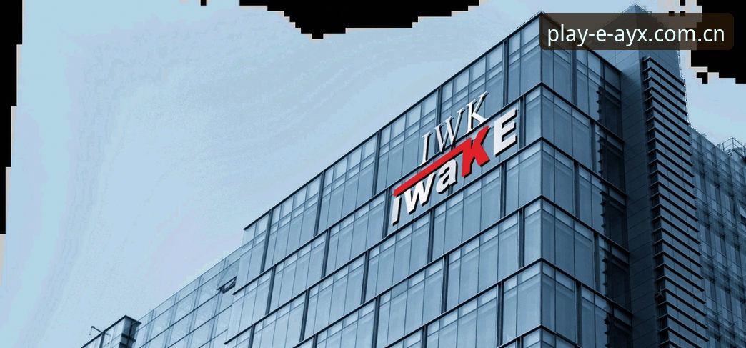 AYX爱游戏中国官网入口 vs 第三方镜像站：哪个更适合国内玩家？全面对比分析